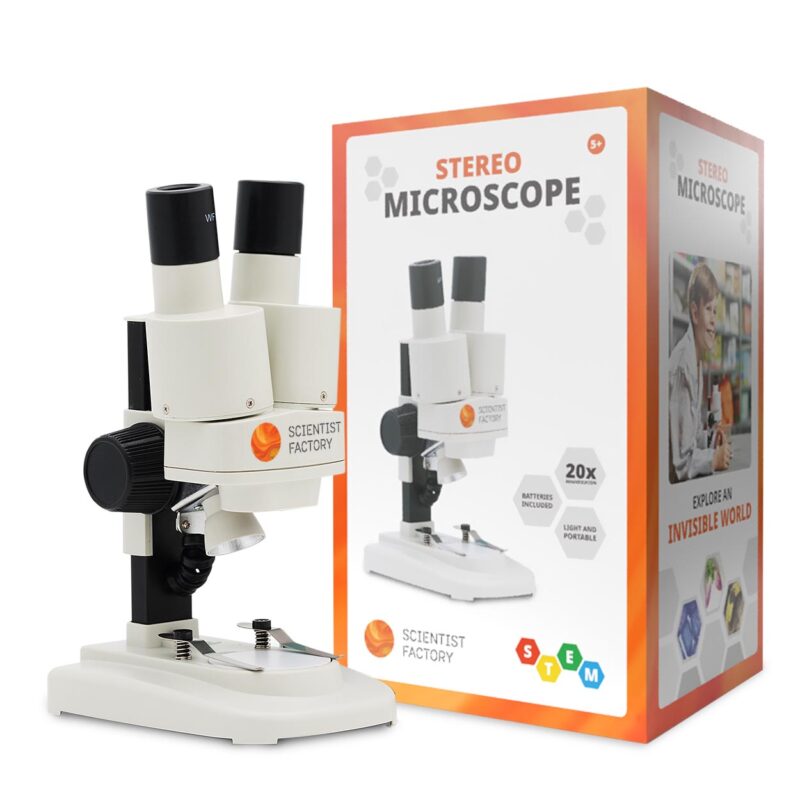 Stereo Microscope for Children