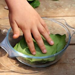 Shows a child hand touching leaves in a bowl while playing Young Survivor