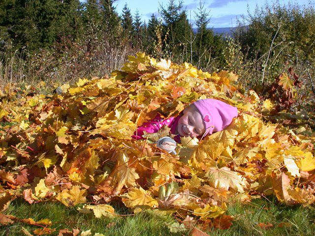 Shows a girl playing in a pile of yellow leaves to illustrate the topic of this piece which is about an autumn compost experiment