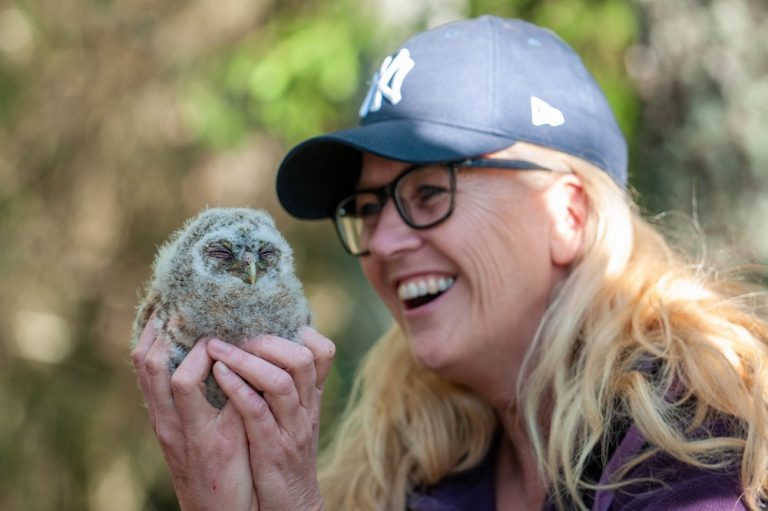 Shows a woman holding a baby owl