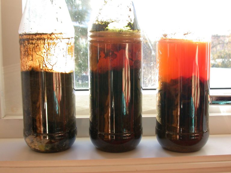 Shows three bottles with beautiful bacteria to illustrate the topic which is how to grow bacteria at home