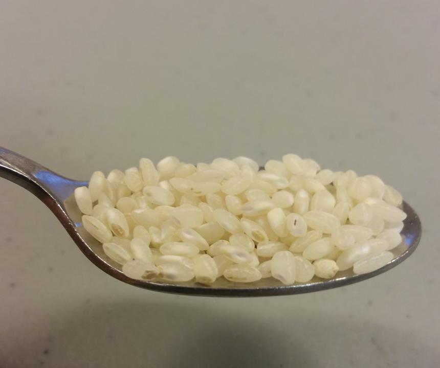 Shows a teaspoon full of rice to illustrate the topic of the experiment which is how to visualize the age of the earth in rice grains